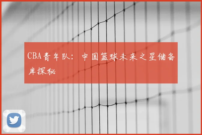 CBA青年队:中国篮球未来之星储备库探秘